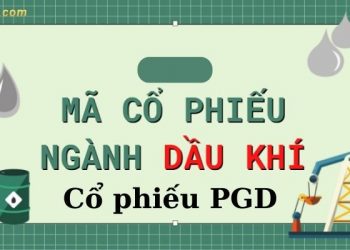 Giá cổ phiếu PGD hôm nay - Lịch sử giá cổ phiếu PGD