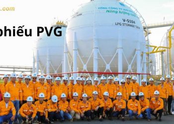 Cổ phiếu PVG - Lịch sử giá cổ phiếu PVG qua các giai đoạn
