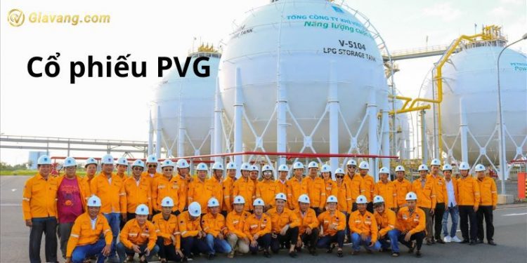 Cổ phiếu PVG - Lịch sử giá cổ phiếu PVG qua các giai đoạn  1 Cổ phiếu PVG - Lịch sử giá cổ phiếu PVG qua các giai đoạn