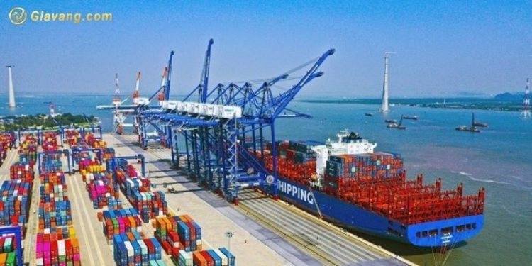 Giá cổ phiếu VTO hôm nay - Cổ nên mua cổ phiếu VTO không? 1 Giá cổ phiếu VTO hôm nay - Cổ nên mua cổ phiếu VTO không?