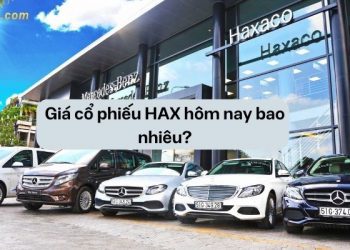 Giá cổ phiếu HAX hôm nay bao nhiêu? Triển vọng cổ phiếu HAX