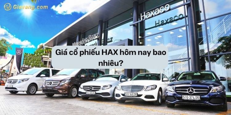 Giá cổ phiếu HAX hôm nay bao nhiêu? Triển vọng cổ phiếu HAX