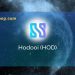 HOD là gì? Đánh giá tiềm năng của HoDooi (HOD) trong tương lai