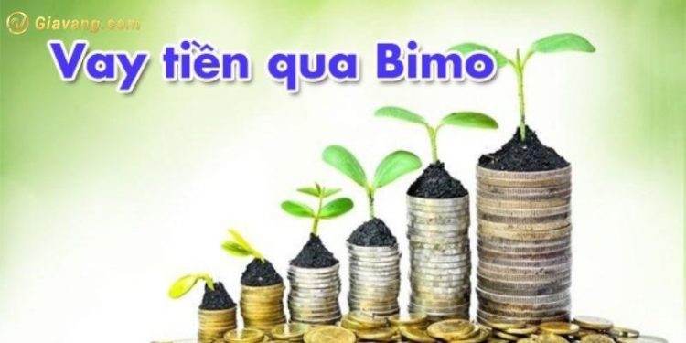 Vay BIMO là gì? Liệu nền tảng BIMO Vay có lừa đảo không?