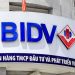Các chi nhánh BIDV tại TPHCM - Cách tra cứu chi nhánh ngân hàng BIDV 9 Các chi nhánh BIDV tại TPHCM - Cách tra cứu chi nhánh ngân hàng BIDV