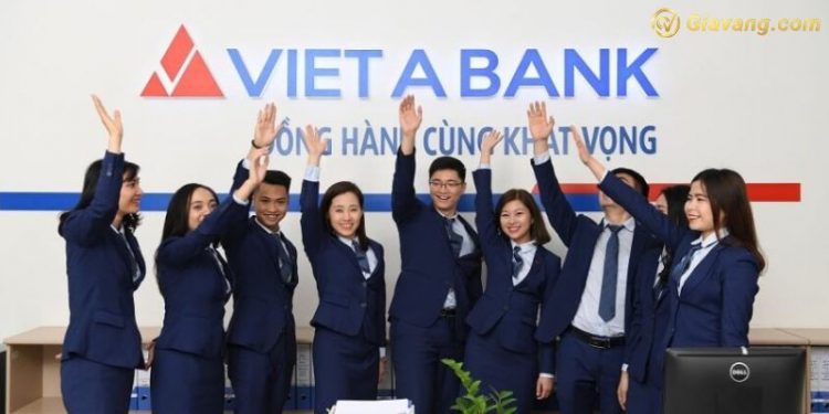 Các chi nhánh Việt Á tại khu vực TPHCM - Cách tra cứu chi nhánh Việt Á