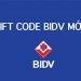Cách tra cứu mã ngân hàng BIDV - Mã Swift code ngân hàng BIDV