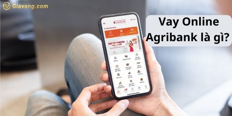 Vay Online Agribank là gì? Vay vốn ngân hàng Agribank cần những gì? 1 Vay Online Agribank là gì? Vay vốn ngân hàng Agribank cần những gì?