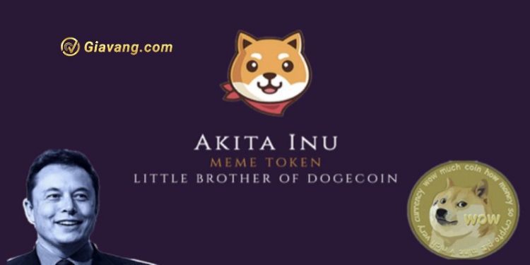 Coin Akita là gì? Tiềm năng của meme coin AKITA trong tương lai