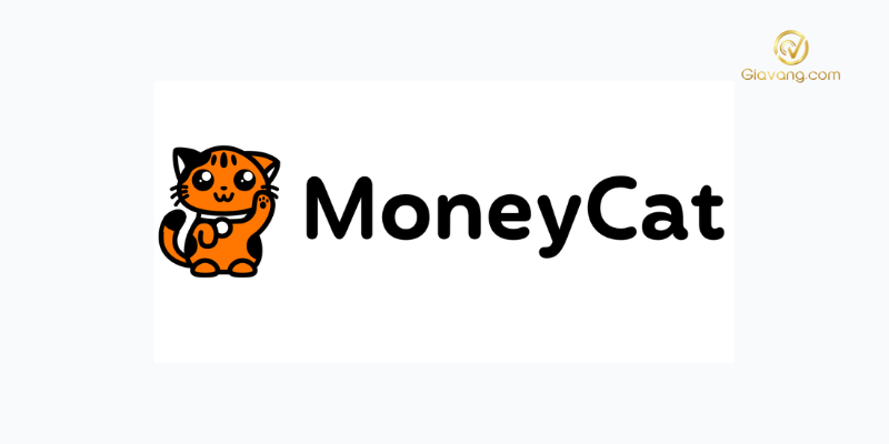 no xau vay online money cat