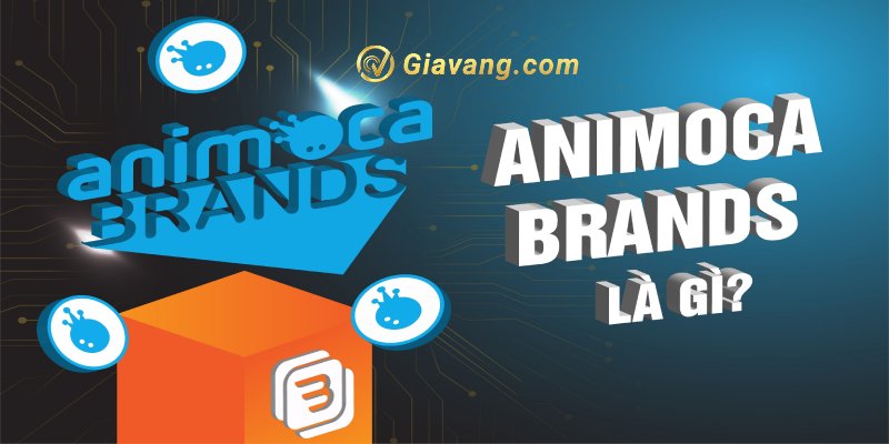 Animoca Brands là gì?