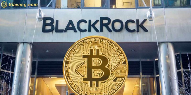 Những sự thật về “tảng đá đen” BlackRock