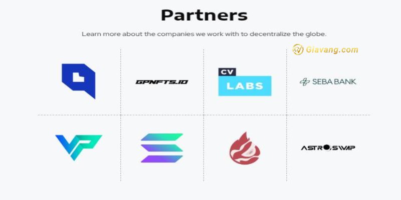 Partners VLX coin