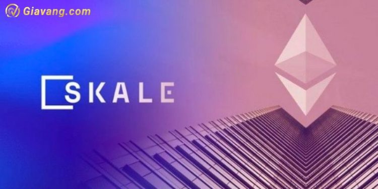 Dự án Skale (SKALE Network) là gì? Vai trò của SKL Token trong hệ sinh thái 1 Dự án Skale (SKALE Network) là gì? Vai trò của SKL Token trong hệ sinh thái
