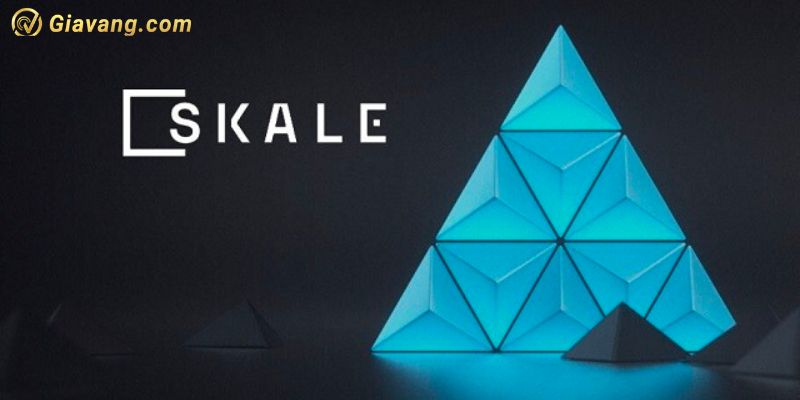 Tìm hiểu về dự án Skale