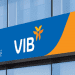 Giờ làm việc VIB cập nhật mới nhất 2024. VIB có làm việc thứ 7 không? 7 Giờ làm việc VIB