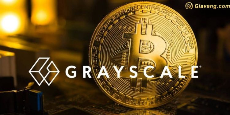 Grayscale là gì? Phí Premium trong các sản phẩm tại Grayscale 1 Grayscale là gì? Phí Premium trong các sản phẩm tại Grayscale