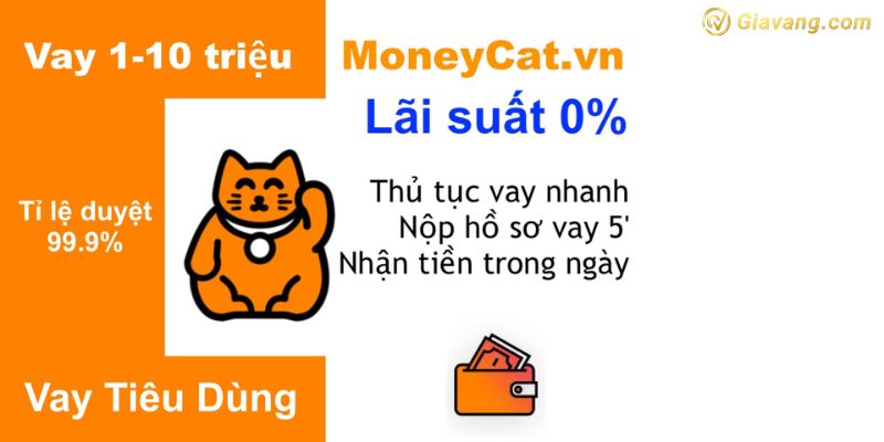 Money Cat vay tiền uy tín 