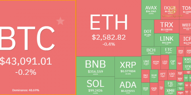 Thị trường Crypto hôm nay 17/1/2024: Bitcoin phục hồi về trên $43.000, Altcoin tăng điểm 1 Thị trường crypto