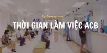 Cập nhật thời gian làm việc ACB 2024. Chủ nhật ACB có làm việc không?