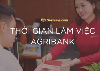 Thời gian làm việc Agribank năm 2024. Sáng thứ 7 ngân hàng có làm việc không?