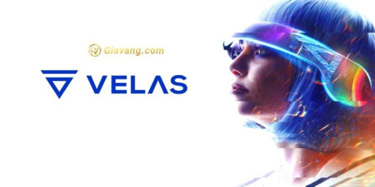 VLX coin là gì? Tiềm năng phát triển của Velas