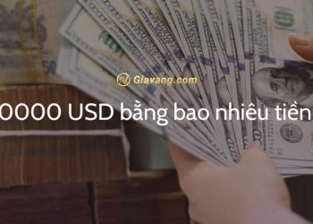 40000 USD bằng bao nhiêu tiền Việt? Đổi USD to VND ở đâu uy tín? 6 40000 USD bằng bao nhiêu tiền Việt? Đổi USD to VND ở đâu uy tín?