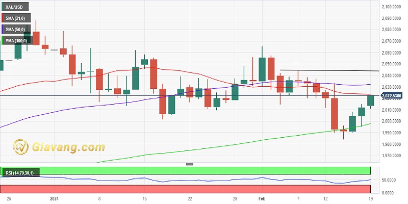 Biểu đồ giá vàng ngày 19-2-2024