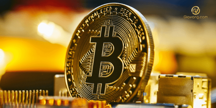 Các nhà phân tích của JPMorgan tiết lộ điều gì thực sự đã đẩy Bitcoin lên trên 50.000 USD 1 Các nhà phân tích của JPMorgan tiết lộ điều gì thực sự đã đẩy Bitcoin lên trên 50.000 USD