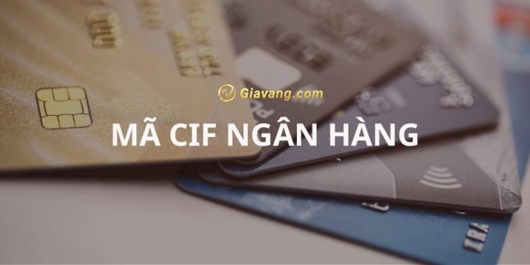 Số CIF là gì? Hướng dẫn tra cứu số CIF của các ngân hàng hiện nay