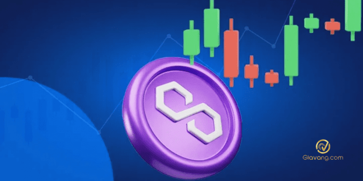 Matic coin là gì? Đánh giá tiềm năng đồng Matic coin 1 Matic coin