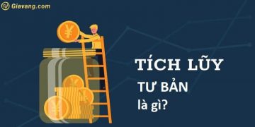 Tích lũy tư bản là gì? Bản chất và nguồn gốc của tích lũy tư bản  2 Tích lũy tư bản là gì? Bản chất và nguồn gốc của tích lũy tư bản