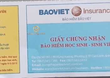 Bảo hiểm tai nạn học sinh là gì? Tiền bảo hiểm tai nạn học sinh là bao nhiêu? 8 Bảo hiểm tai nạn học sinh là gì? Tiền bảo hiểm tai nạn học sinh là bao nhiêu?