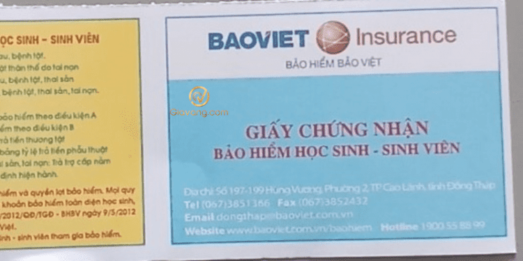 Bảo hiểm tai nạn học sinh là gì? Tiền bảo hiểm tai nạn học sinh là bao nhiêu?