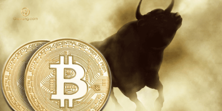 Có phải chúng ta đang ở trong một thị trường tăng giá cho Bitcoin?