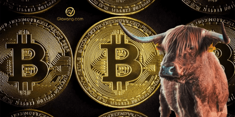 Bitcoin có thể sớm phải đối mặt với cú sốc cầu 1 Bitcoin có thể sớm phải đối mặt với cú sốc cầu