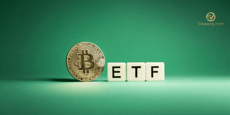 Giám đốc công ty Bitcoin Spot ETF dự đoán đợt tăng giá của BTC và tiền điện tử có thể tiếp tục trong bao lâu 1 Giám đốc công ty Bitcoin Spot ETF dự đoán đợt tăng giá của Bitcoin