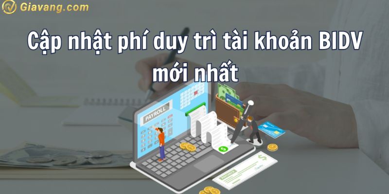 Phí duy trì tài khoản BIDV là gì?