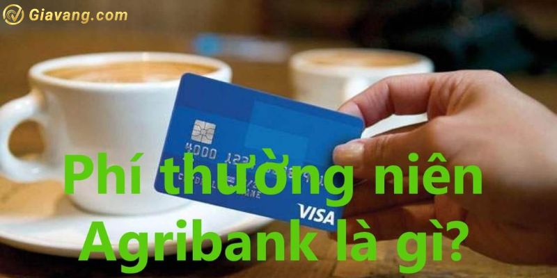 Phí thường niên Agribank là gì?