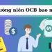 Phí thường niên OCB bao nhiêu? OCB có mất phí duy trì không? 8 Phí thường niên OCB bao nhiêu? OCB có mất phí duy trì không?