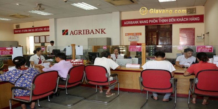 Vay thấu chi Agribank tối đa bao nhiêu? Lãi suất vay thấu chi Agribank 2024
