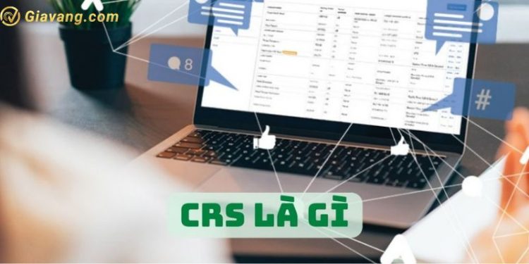 CRS là gì? CRS mang đến lợi ích gì cho khách hàng và doanh nghiệp 1 CRS là gì? CRS mang đến lợi ích gì cho khách hàng và doanh nghiệp
