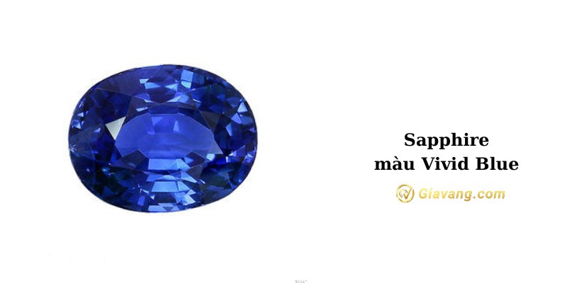 Sapphire màu Vivid Blue