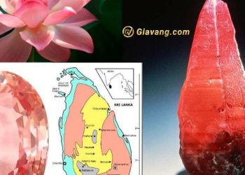 Padparadscha Sapphire là gì? Padparadscha hợp mệnh nào?