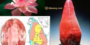 Padparadscha Sapphire là gì? Padparadscha hợp mệnh nào? 6 Padparadscha Sapphire là gì? Padparadscha hợp mệnh nào?
