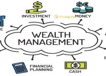 Wealth management là gì? Công việc của quản lý tài sản bao gồm những gì?