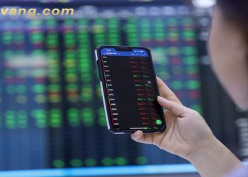 Bán tháo cổ phiếu là gì? Có nên bán tháo cổ phiếu khi thị trường giảm mạnh không?