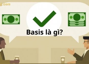 Basis là gì? Tầm quan trọng của Basis trong chứng khoán