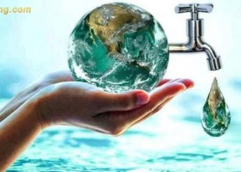 BWE thoái sạch vốn, cổ phiếu đóng cửa ở mức 43,000 đồng/cp