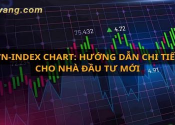 Cách đọc biểu đồ VNIndex: Hướng dẫn chi tiết từ A - Z